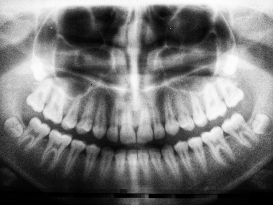 Dental School vs Medical School: Which Path is Right for You?